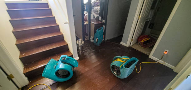 Water damage restoration mold remediation in Olney, TX