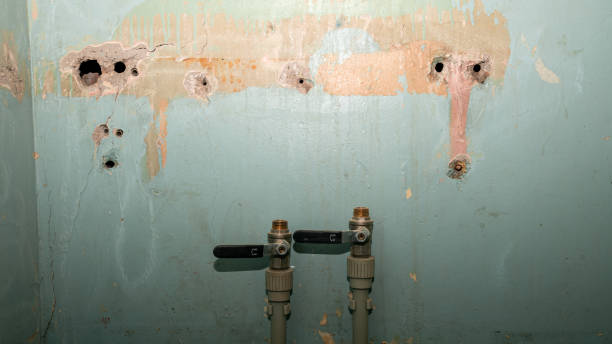 Best Flood restoration services  in Olney, TX