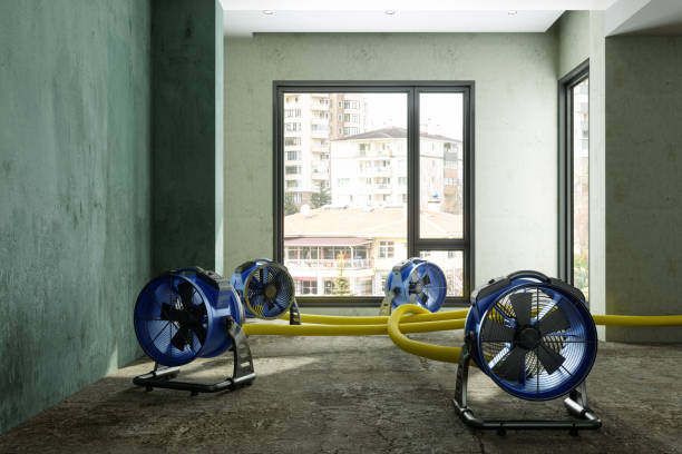 Water damage restoration mold remediation in Olney, TX